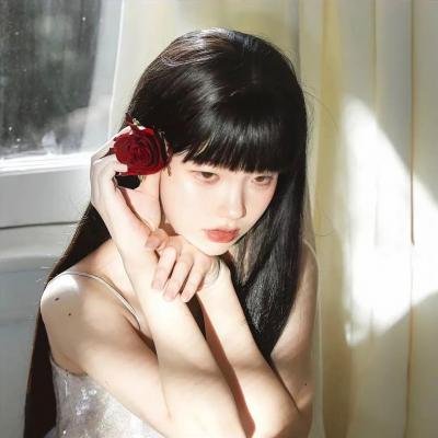 纸房子:全球热潮